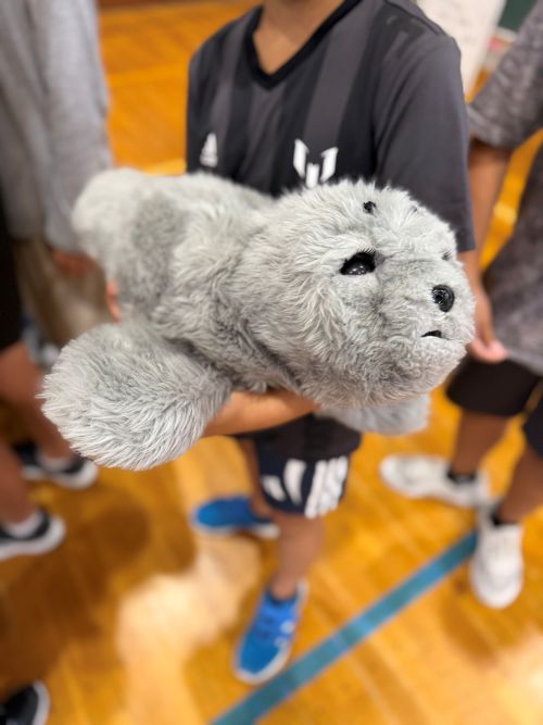 介護ロボットの様子
